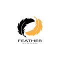 feather logo vector templates