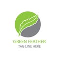 feather logo vector templates