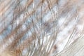 Feather macro