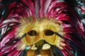 Feather mask and decorations, Venice, Italy Royalty Free Stock Photo