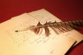 Feather on old papers Royalty Free Stock Photo