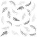 Feather Pattern hand drawn style. Hand drawn vintage design set. Royalty Free Stock Photo
