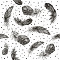 Feather Pattern hand drawn style. Hand drawn vintage vector design set. Royalty Free Stock Photo