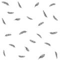 Feather Pattern hand drawn style. Hand drawn vintage vector design set. Royalty Free Stock Photo