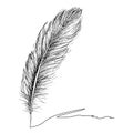 Feather Pattern hand drawn style. Hand drawn vintage vector design set. Royalty Free Stock Photo