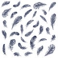 Feather Pattern hand drawn style Royalty Free Stock Photo