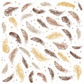 Feather Pattern hand drawn style Royalty Free Stock Photo