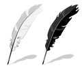 Feather pen, black and white Royalty Free Stock Photo