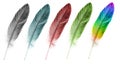 Feather pen set of abstract color