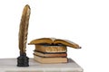 Feather pen statue and stack books isolated Royalty Free Stock Photo