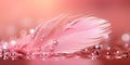 Feather pink bird with sparkles and transparent drop 1690444547118 1