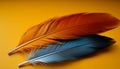 Feather quill pen, nature elegance, flying symbol of creativity generated by AI Royalty Free Stock Photo