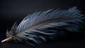 Feather quill pen, nature elegance, flying symbol of creativity generated by AI Royalty Free Stock Photo