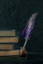 Feather quill pen with a vintage ink well and a stack of old books Royalty Free Stock Photo