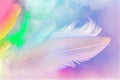Feather rainbow patchwork background. Close-up Royalty Free Stock Photo