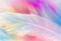 Feather rainbow patchwork background. Close-up Royalty Free Stock Photo