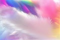 Feather rainbow patchwork background. Close-up Royalty Free Stock Photo
