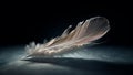 Feather's fragility showcases animal's elegance in nature generated by AI Royalty Free Stock Photo