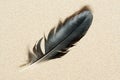 Feather On Sand Royalty Free Stock Photo