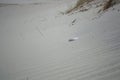 Feather at sand beach Royalty Free Stock Photo