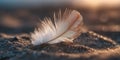 Feather, Sand Dune. Minimalist composition with light feather on sand against a blurred background. Royalty Free Stock Photo