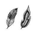 Feather set ethnic pattern doodle black colour illustration Royalty Free Stock Photo