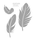 Feather. Set