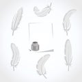 Feather set. Vector Royalty Free Stock Photo