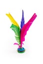 Feather shuttlecock isolated Royalty Free Stock Photo