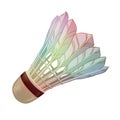 feather shuttlecocks for badminton Royalty Free Stock Photo