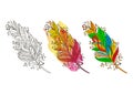 Feather sketch. Colorful Feather. Vector illustration. Royalty Free Stock Photo