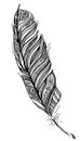 Feather, sketch, hans draw doodling graphic illustration, black and white