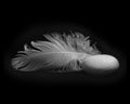 Feather and stone Royalty Free Stock Photo