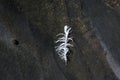 Feather on stone close up Royalty Free Stock Photo