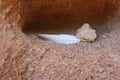 A feather and a stone in a hole Royalty Free Stock Photo