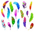 Feather vector fluffy feathering quil and colorful feathery birds plume illustration set of color feather-pen decor Royalty Free Stock Photo