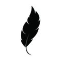 feather icon vector design template Royalty Free Stock Photo