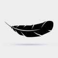 Feather vector icon isolated Royalty Free Stock Photo