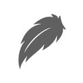 Feather - vector icon. Feather isolated on white Royalty Free Stock Photo
