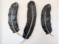 Feather wall decor hangings in a modern home