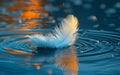 Feather on the water. A single white feather floating on the water Royalty Free Stock Photo