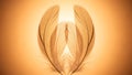 Feather Wings Backlit Royalty Free Stock Photo