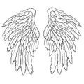 Feather Wings in the form of Angel or Dragon Illustration Royalty Free Stock Photo