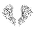 Feather Wings in the form of Angel or Dragon Illustration Royalty Free Stock Photo