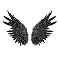 Feather Wings in the form of Angel or Dragon Illustration Royalty Free Stock Photo