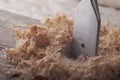 Feather wood drill bit on wooden background