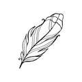 Feather, write line icon, outline vector sign. Lightweight symbol, logo illustration. Editable stroke. Vector graphics