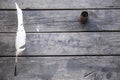 Feather for writing and inkwell .Quill for writing. The feather lies on an old wooden table with inkwell . Beautiful background Royalty Free Stock Photo