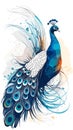Peacock drawing cartoon artwork vector ai generated