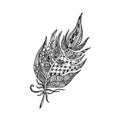 Feather in zentangle style. Ornamental fill. Hand drawn doodle sketch. Isolated on white background. Vector illustration Royalty Free Stock Photo